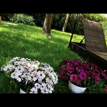 In Complex Anita B2 ساني بيتش